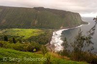 Vistas panorámicas del Waipi’o Valley. Big Island.